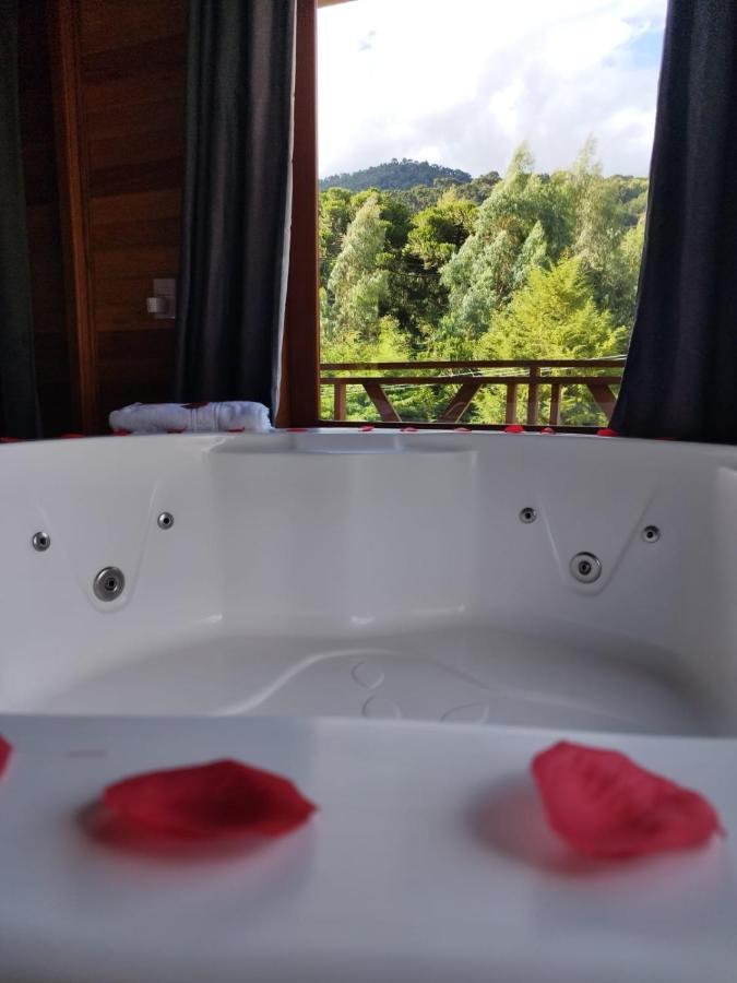 Chale Vista Araucarias Lodge Urubici