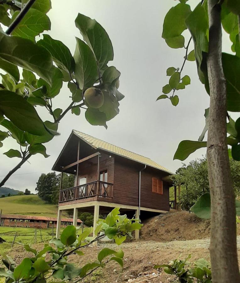 Lodge Chale Vista Araucarias *